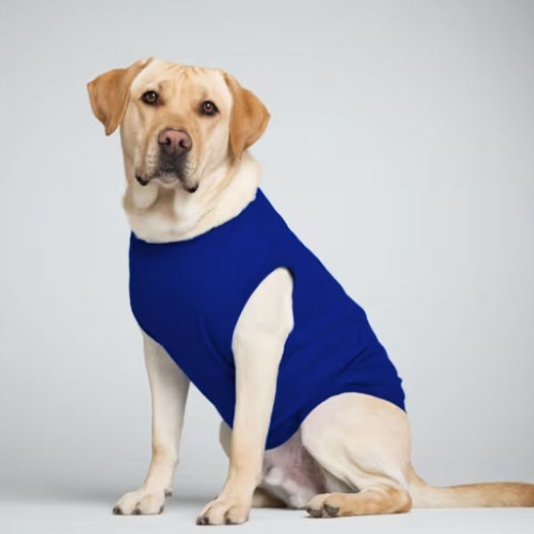 Dog T-Shirts - Image 3
