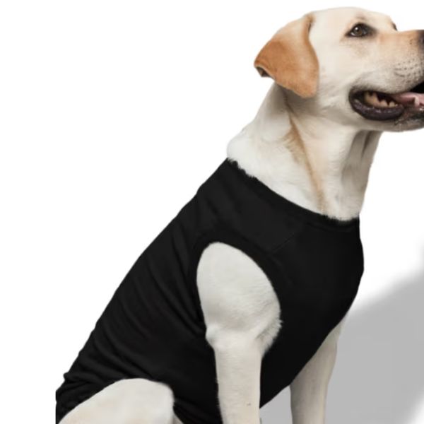 Dog T-Shirts - Image 4
