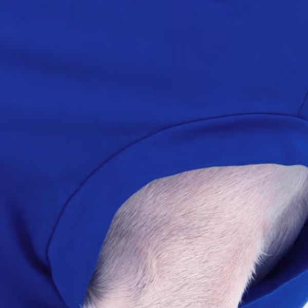 Dog T-Shirts - Image 6