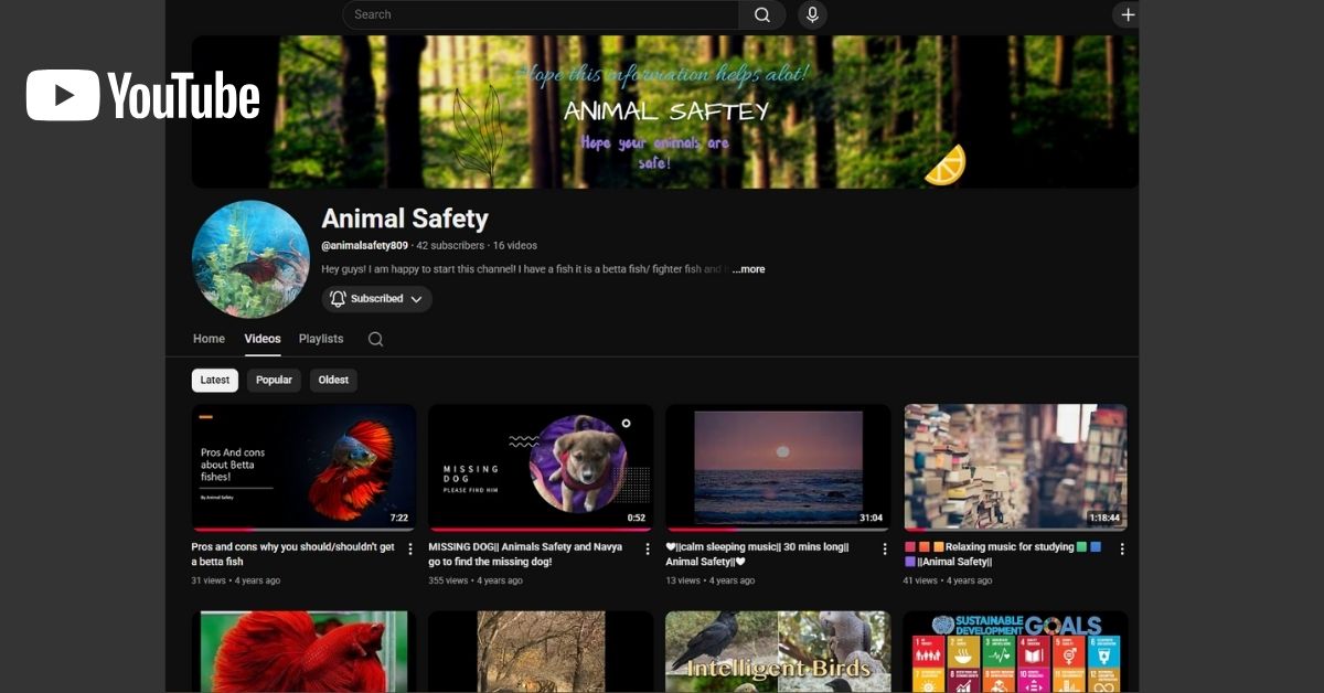 Awareness Initiative – Animal Safety | Video Portfolio