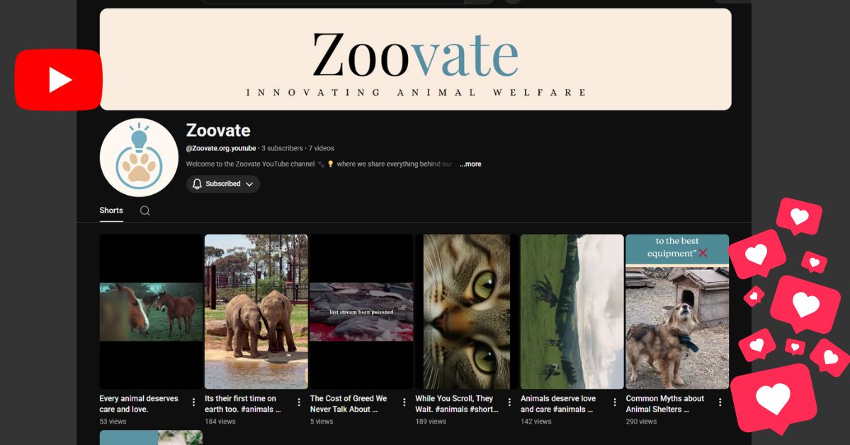 Zoovate Youtube Short