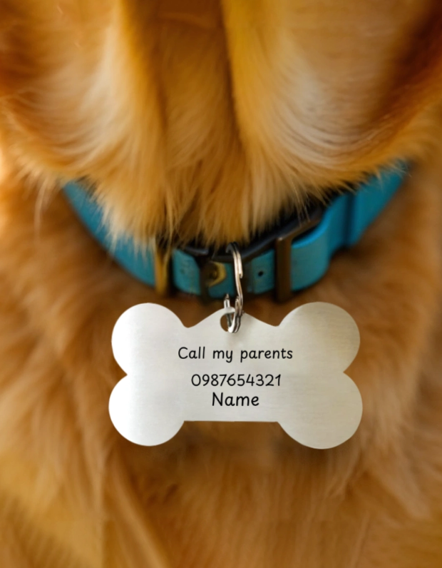 Pet Tags - Image 11
