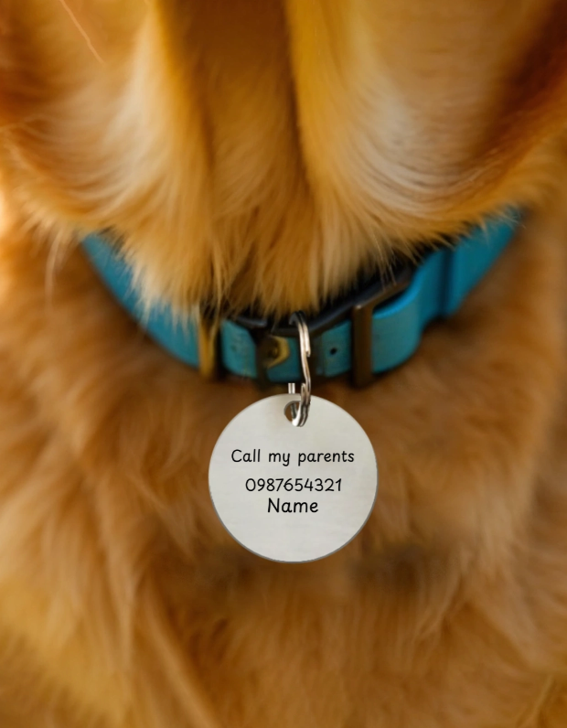 Pet Tags - Image 10