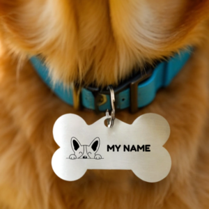 Pet Tags